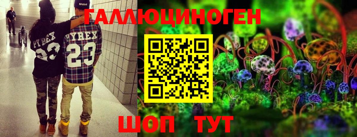 купить   Вход с VPN  Долгопрудный  Галлюциногенные грибы Magic Shrooms 